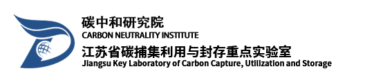 China University of Mining and Technology Carbon Neutrality Institute logo